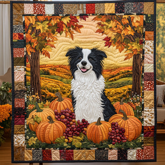 Border Collie In Farm WY2508064CL Quilt