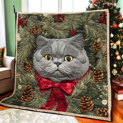 Cozy Cat Charm CW0811041CL Quilt