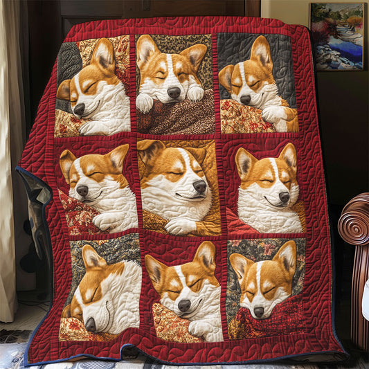 Paws and Dreams YR1801020CL Quilt