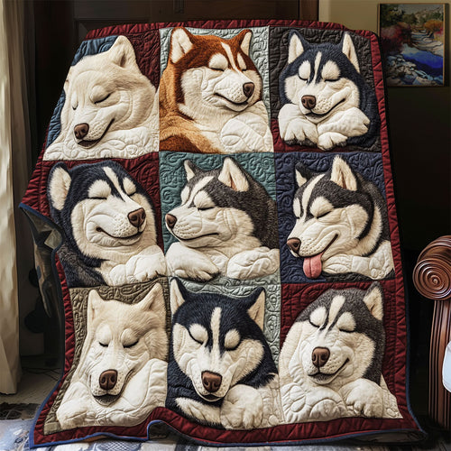 Lazy Paws CP2810093CL Quilt
