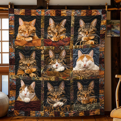 Autumn Cat Squares WN2306001CL Quilt