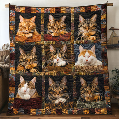 Autumn Cat Squares WN2306001CL Quilt