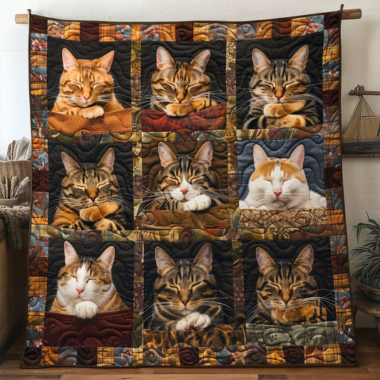 Autumn Cat Squares WN2306001CL Quilt