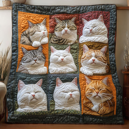 Chilling Cat WP1905010CL Quilt