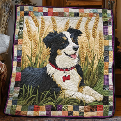 Charming Border Collie WJ2105002CL Quilt