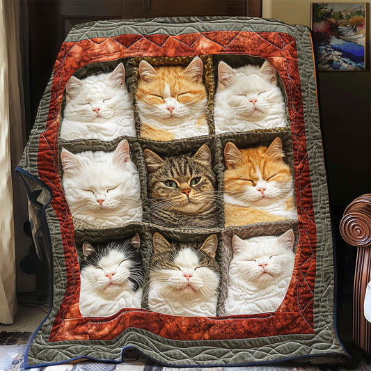 Cozy Cat Haven YR2101031CL Quilt