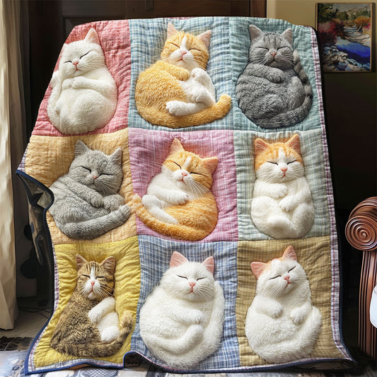 Nap Time Patchwork YR2101041CL Quilt