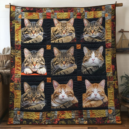 Sleepy Blocks Cat WN2306050CL Quilt