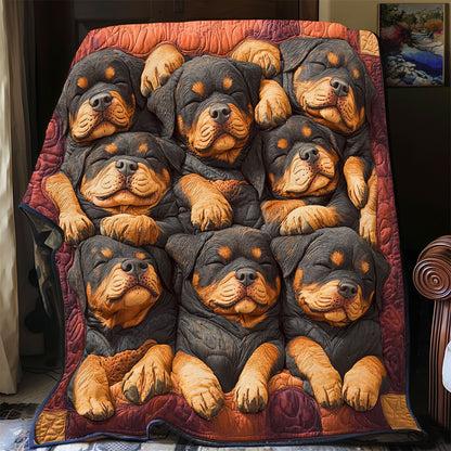 Cozy Rott CP0807035CL Quilt