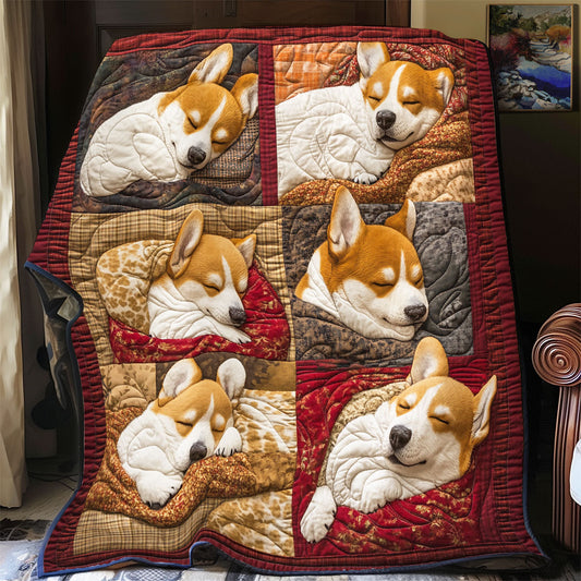 Cozy Corgi Bliss YR1801019CL Quilt