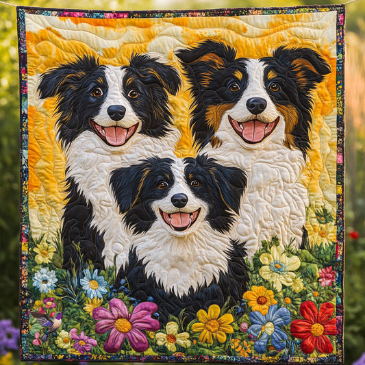 Border Collie WT2310024CL Quilt