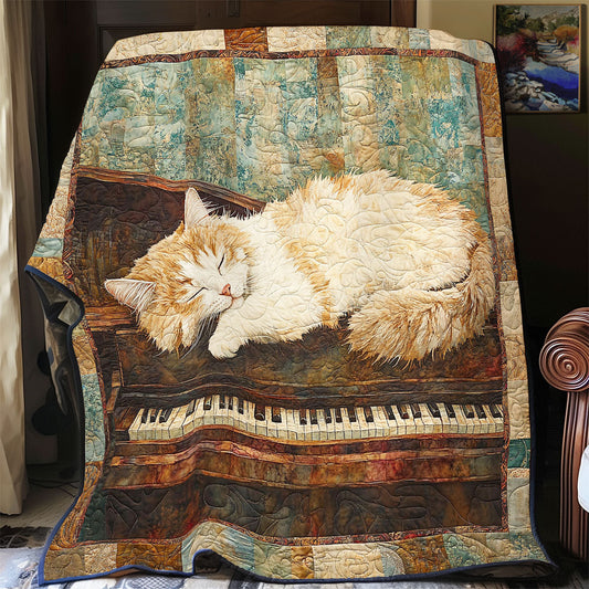 Sleeping Cat In Piano WY1701060CL Quilt