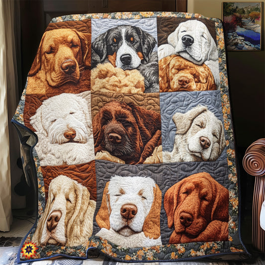 Labrador YR2612006CL Quilt