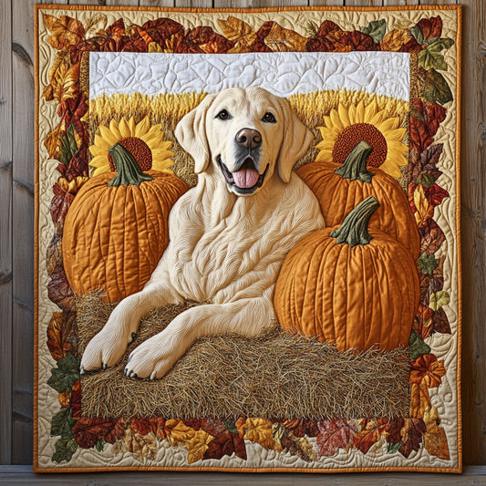 Pumpkin Meadows CP2406048CL Quilt