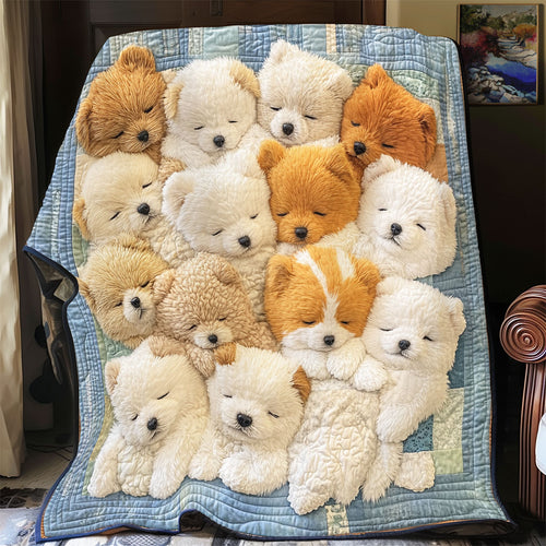 Snuggle Paws YR2901032CL Quilt